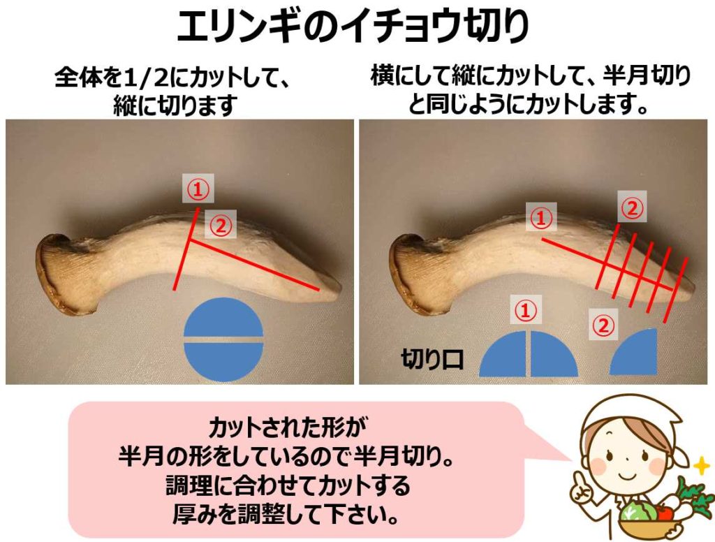 エリンギイチョウ切りの紹介画像